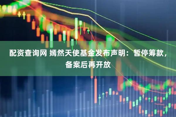配资查询网 嫣然天使基金发布声明：暂停筹款，备案后再开放